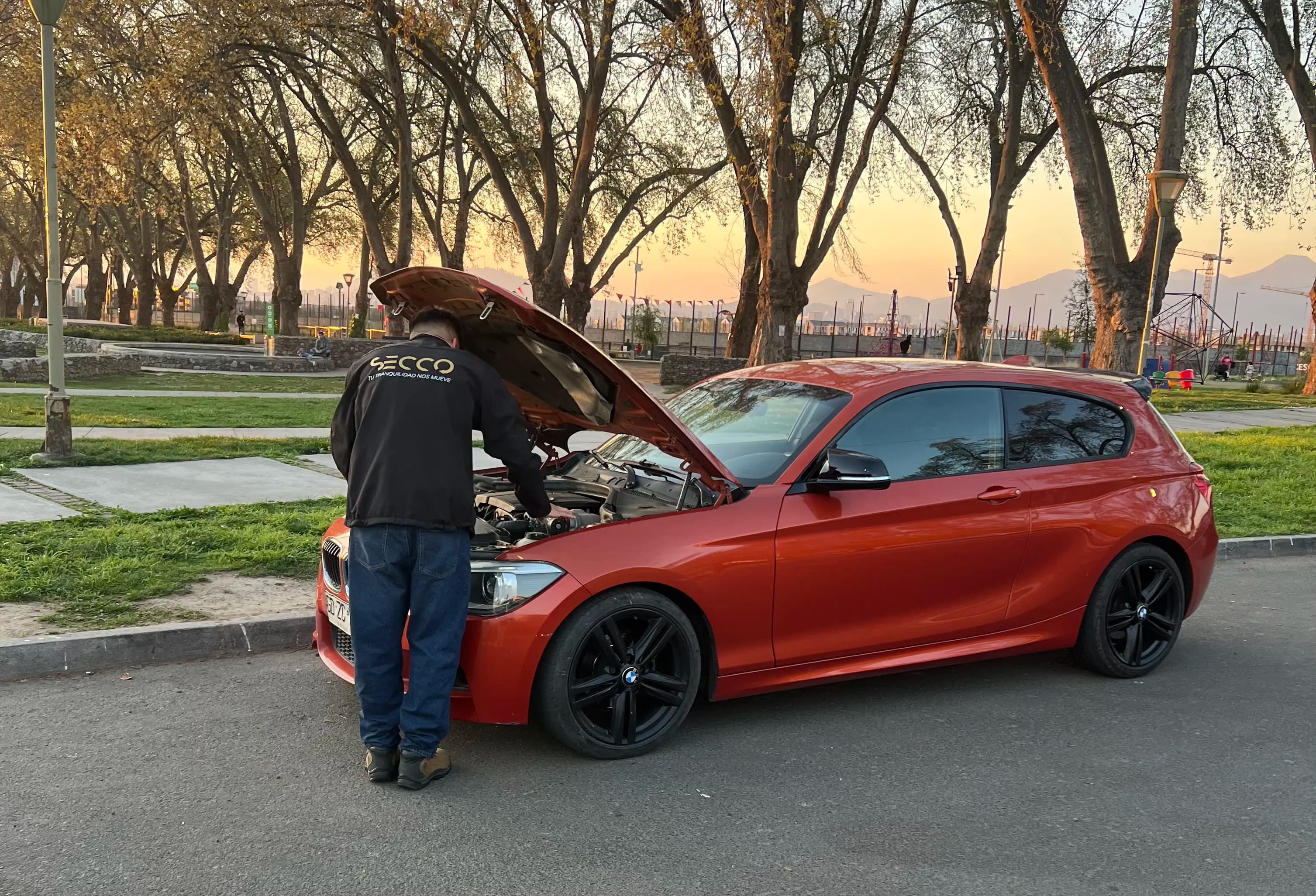 Inspección de vehículo SECCO